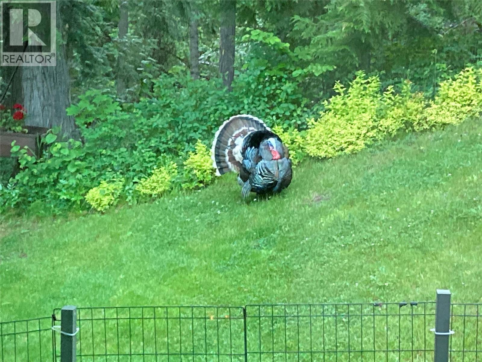 2162 Old Salmo Road, Fruitvale, British Columbia  V0G 1L1 - Photo 52 - 10376108