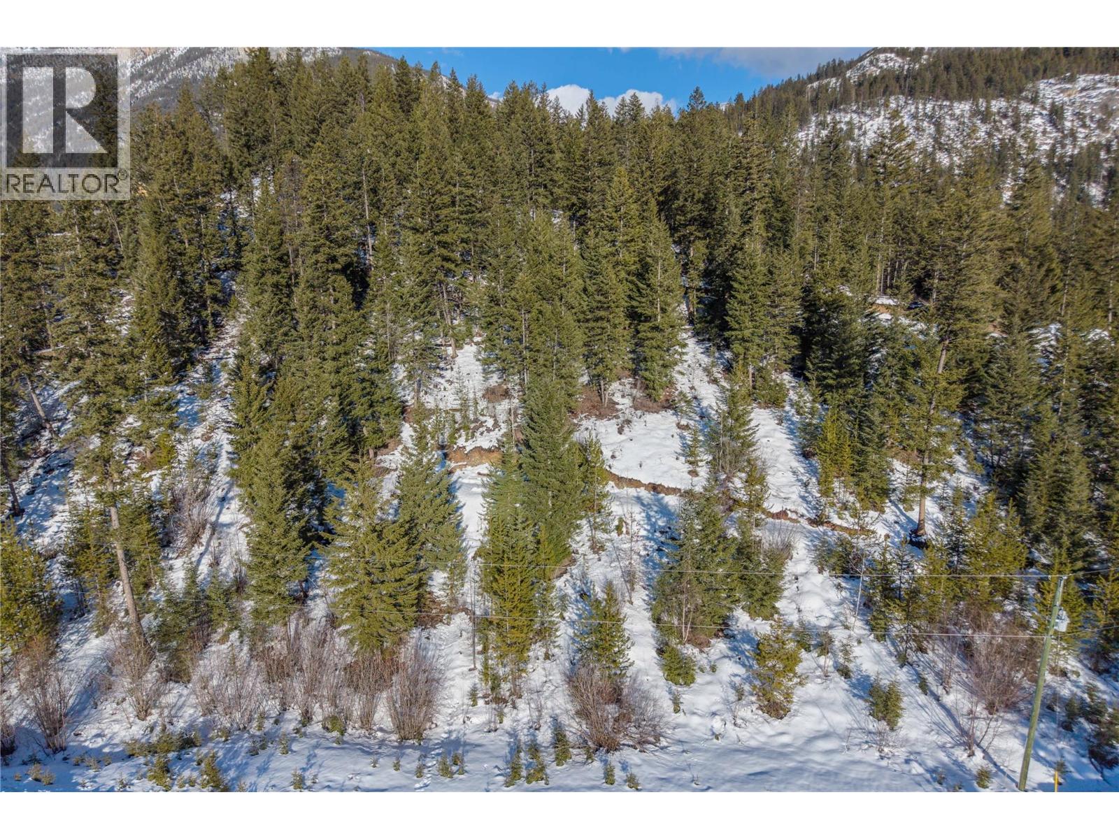 1488 Black Bear Drive Lot# 25, Golden, British Columbia  V0A 1H7 - Photo 12 - 10376064