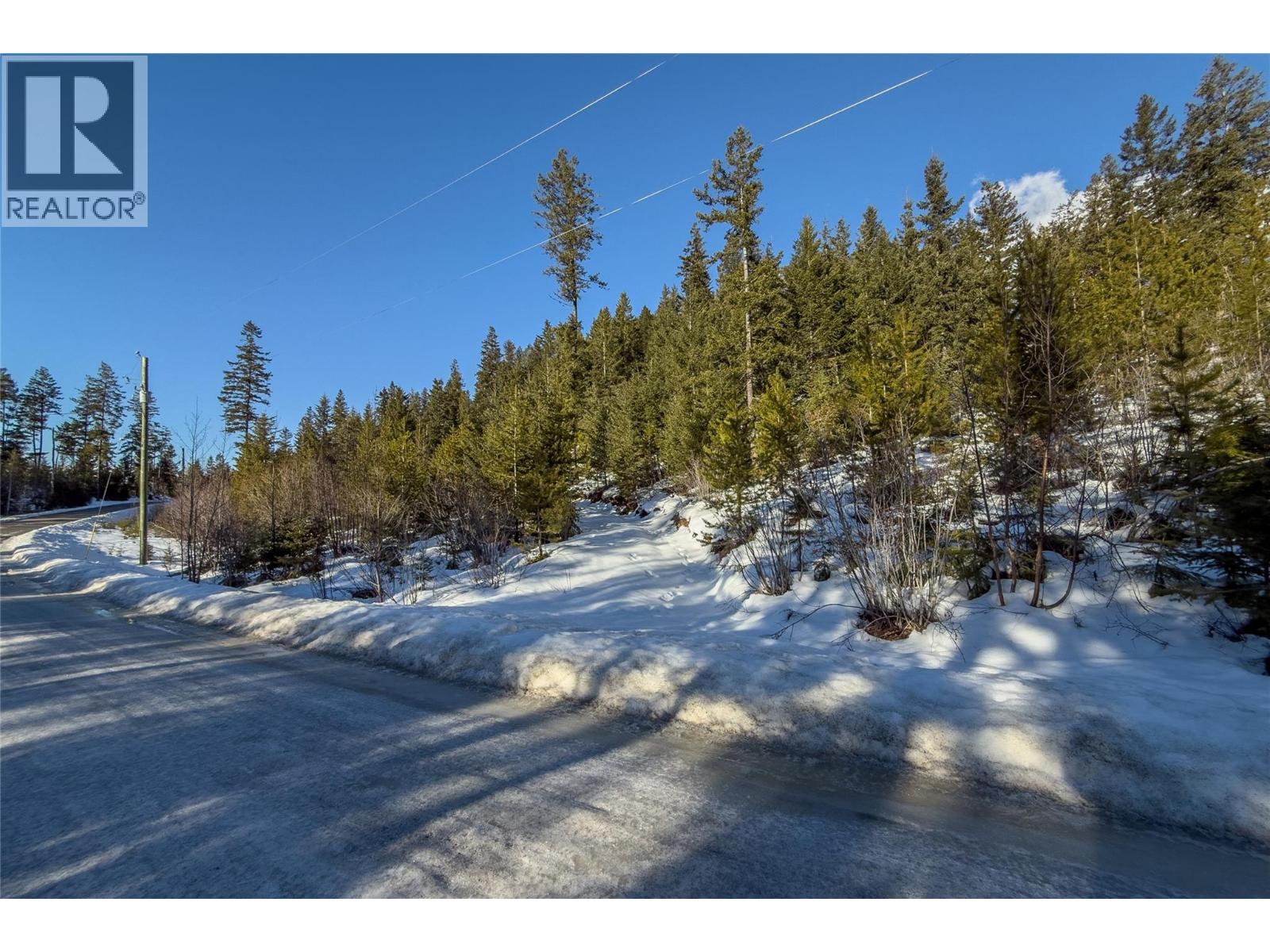 1488 Black Bear Drive Lot# 25, Golden, British Columbia  V0A 1H7 - Photo 13 - 10376064