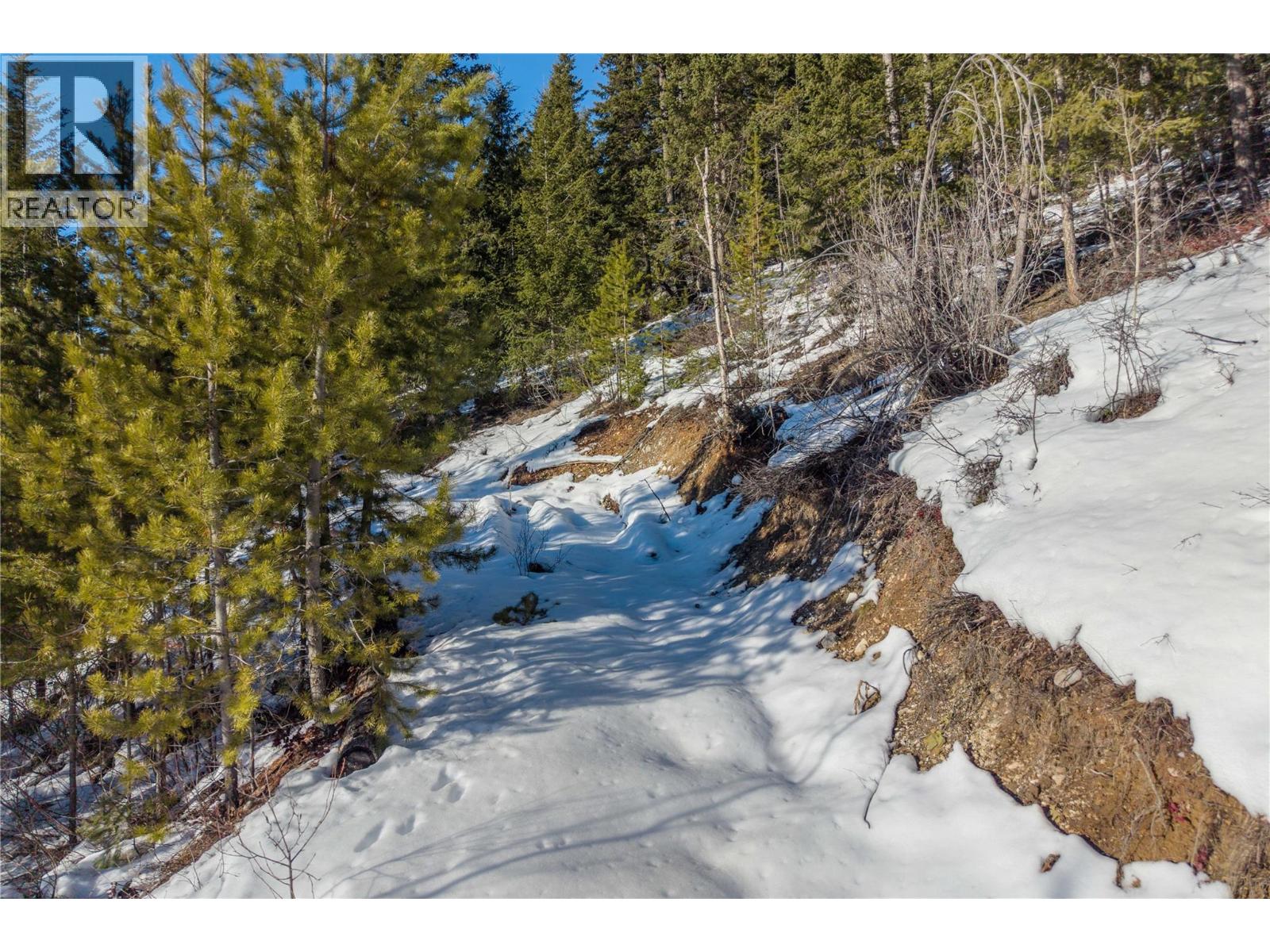 1488 Black Bear Drive Lot# 25, Golden, British Columbia  V0A 1H7 - Photo 22 - 10376064