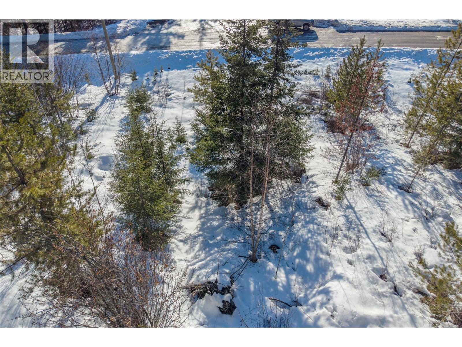 1488 Black Bear Drive Lot# 25, Golden, British Columbia  V0A 1H7 - Photo 25 - 10376064
