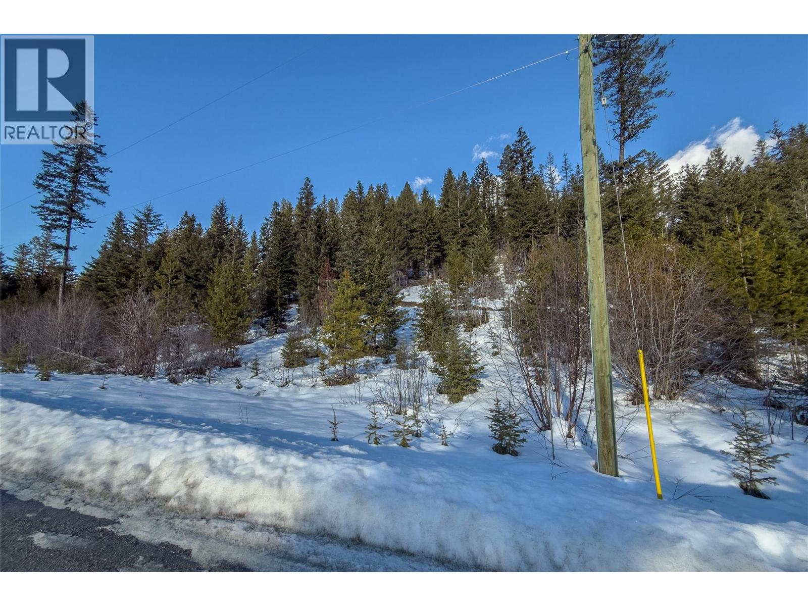 1488 Black Bear Drive Lot# 25, Golden, British Columbia  V0A 1H7 - Photo 31 - 10376064
