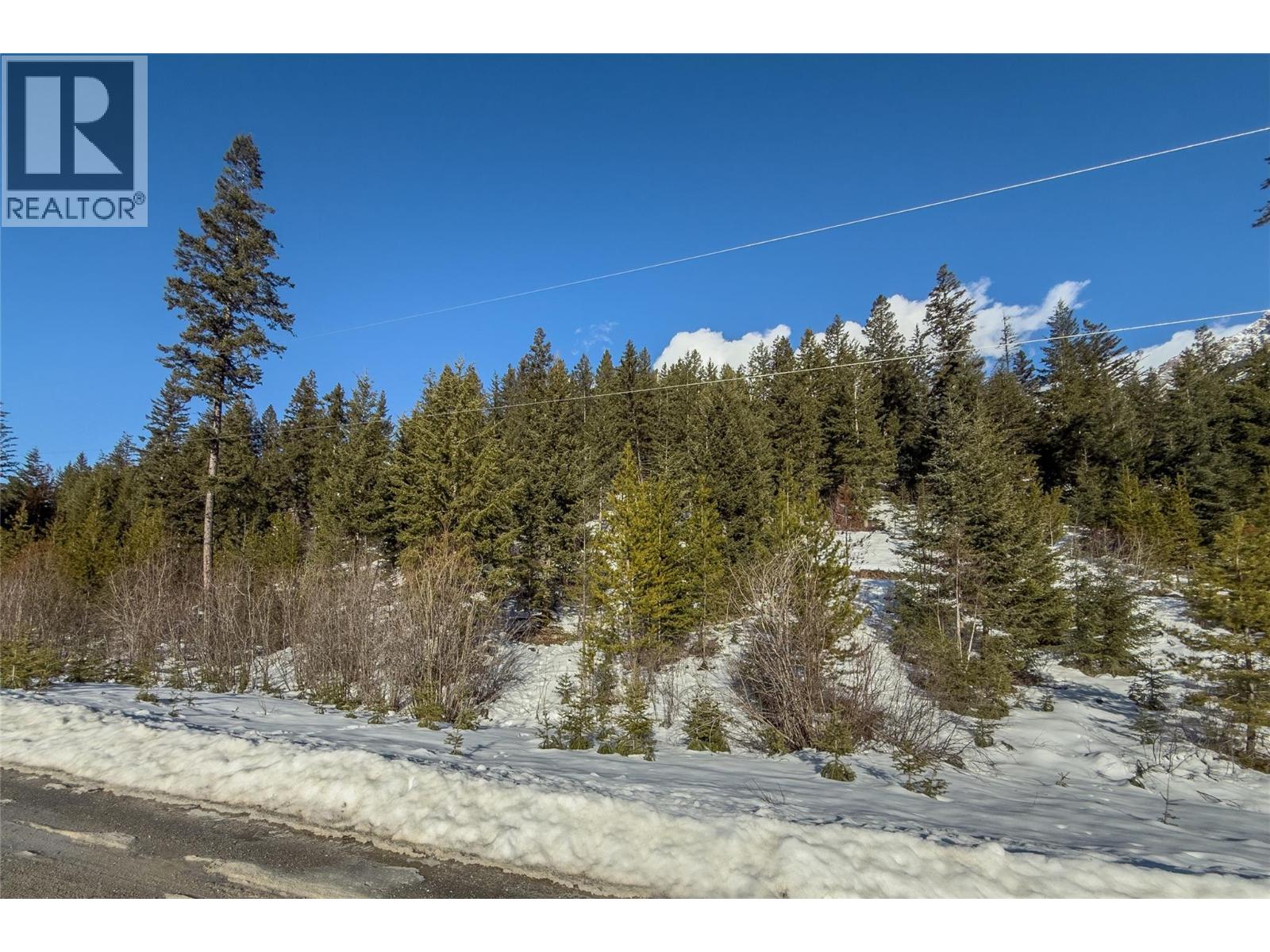 1488 Black Bear Drive Lot# 25, Golden, British Columbia  V0A 1H7 - Photo 5 - 10376064