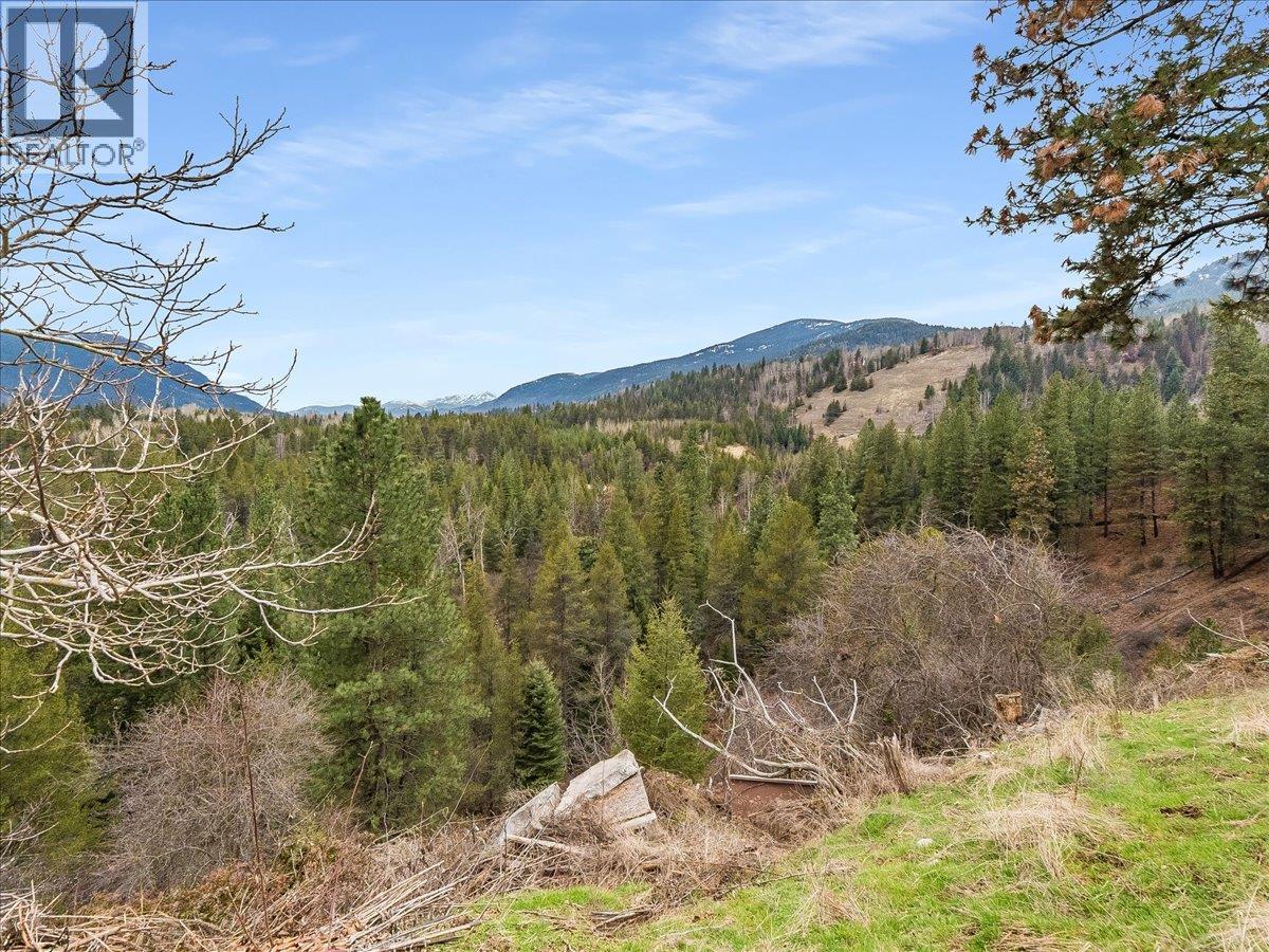 130 100th Street, Castlegar, British Columbia  V1N 3C5 - Photo 24 - 10375487