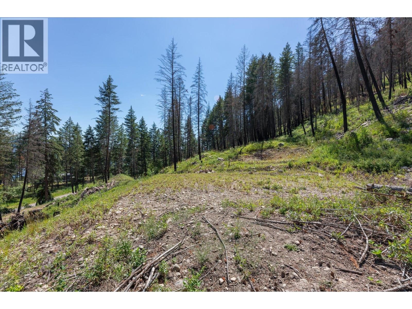 9508 Winchester Road Unit# (Parcel C), Vernon, British Columbia  V1H 2C6 - Photo 13 - 10375228