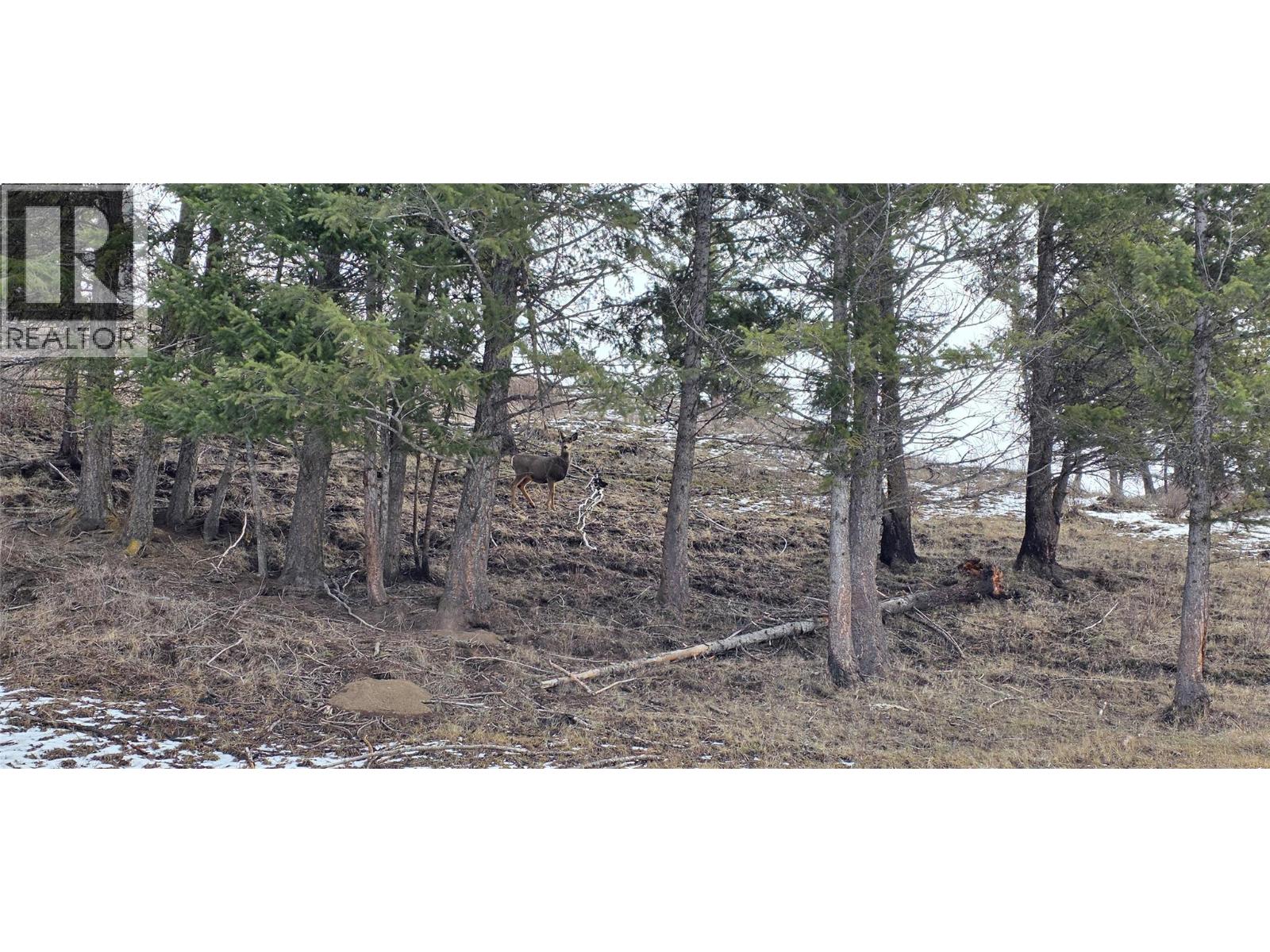 1720 Hulme Creek Road, Rock Creek, British Columbia  V0H 1Y0 - Photo 66 - 10376291