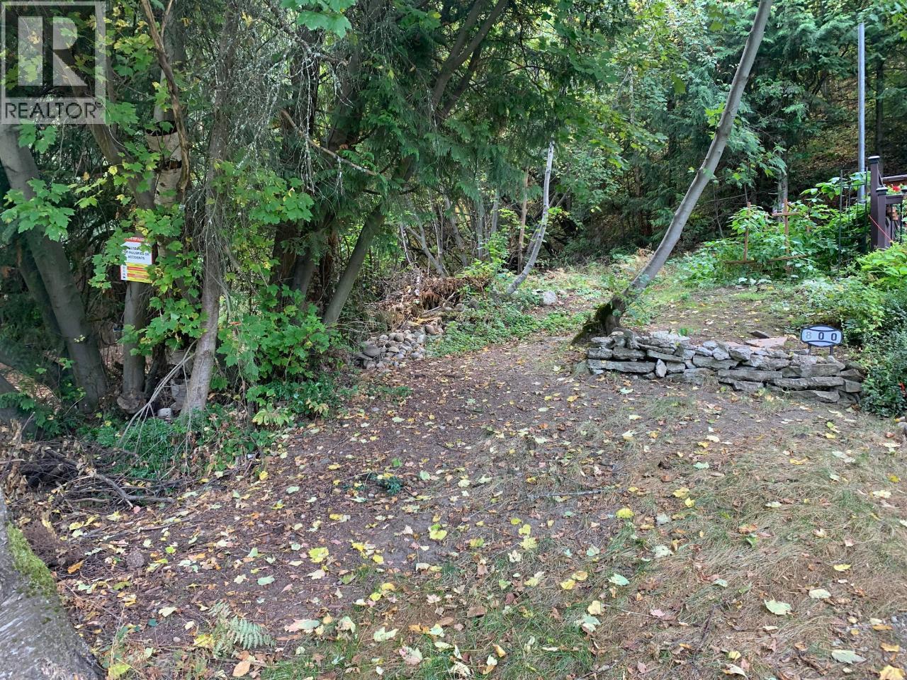 800 Lynnwood Crescent, Castlegar, British Columbia  V1N 1E3 - Photo 11 - 10376134