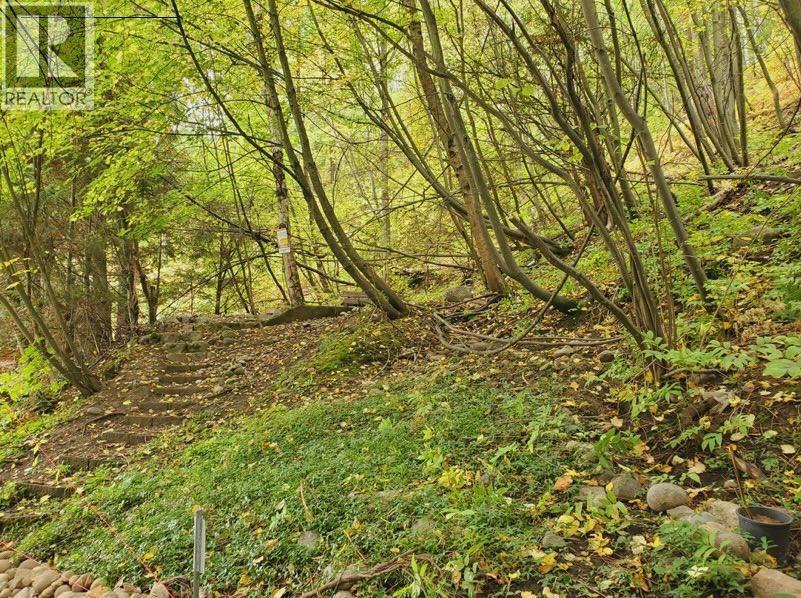 800 Lynnwood Crescent, Castlegar, British Columbia  V1N 1E3 - Photo 15 - 10376134