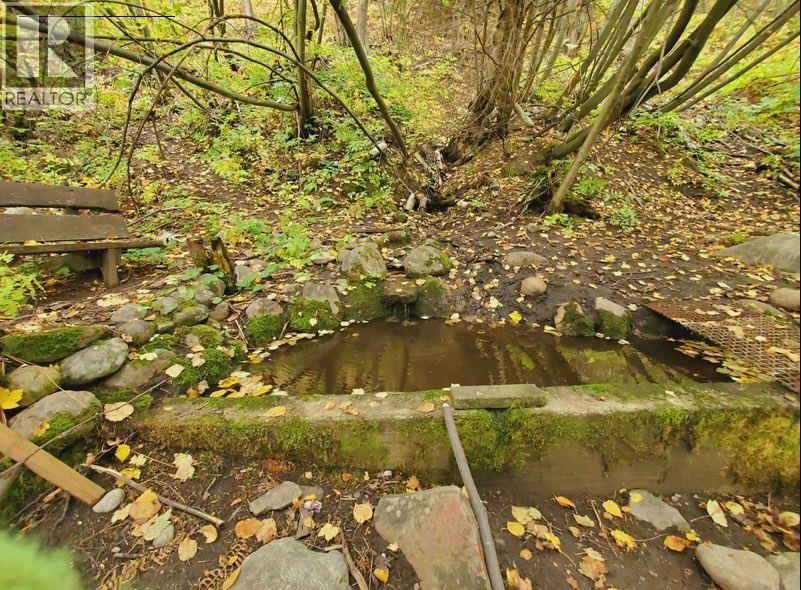 800 Lynnwood Crescent, Castlegar, British Columbia  V1N 1E3 - Photo 16 - 10376134