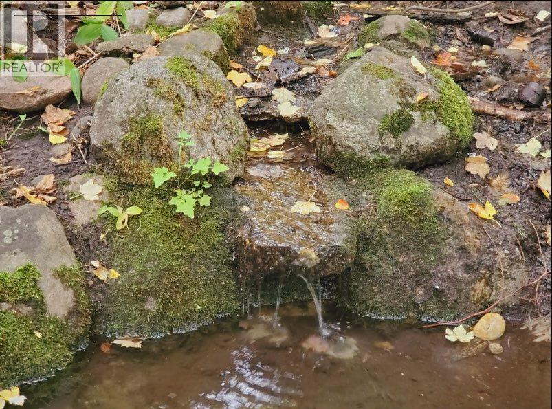 800 Lynnwood Crescent, Castlegar, British Columbia  V1N 1E3 - Photo 17 - 10376134