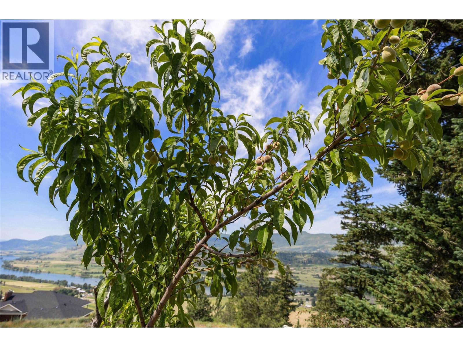 365 Riverwind Drive, Chase, British Columbia  V0E 1M1 - Photo 81 - 10376313