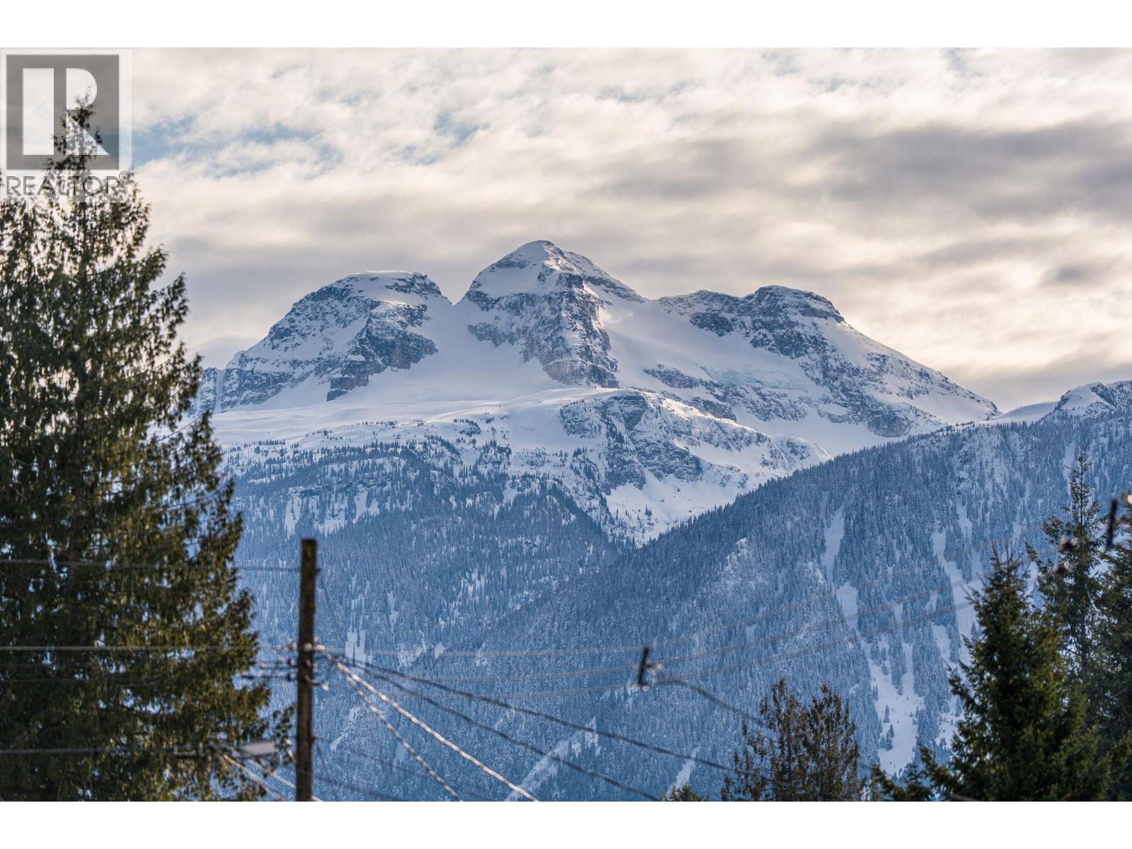 257 Viers Crescent, Revelstoke, British Columbia  V0E 2S1 - Photo 39 - 10376280