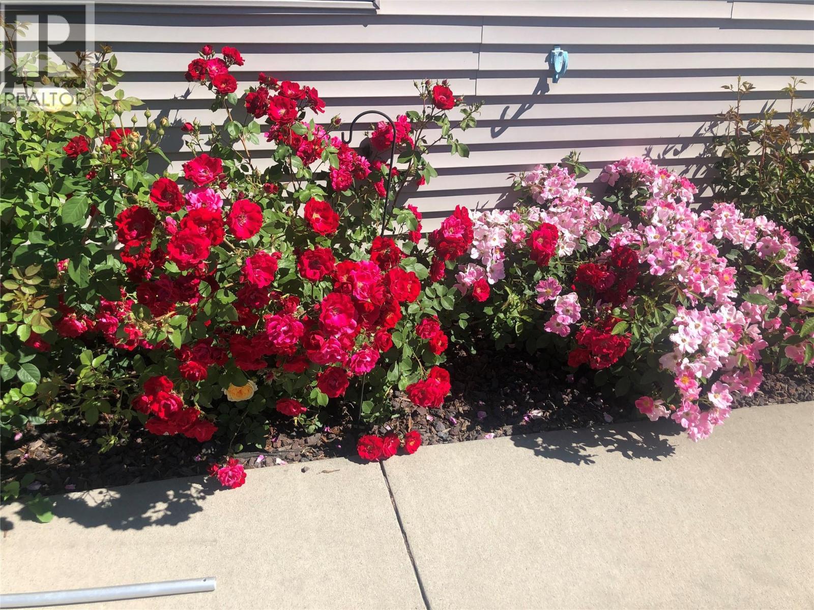 2205 Canary Place, Vernon, British Columbia  V1H 1R3 - Photo 55 - 10376182