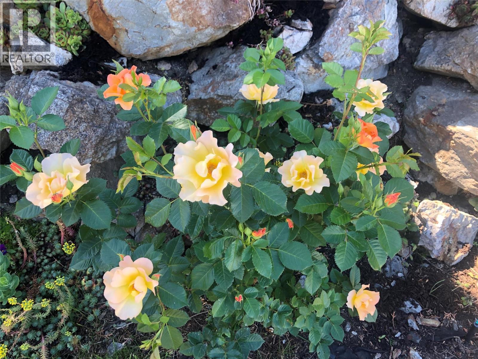 2205 Canary Place, Vernon, British Columbia  V1H 1R3 - Photo 57 - 10376182