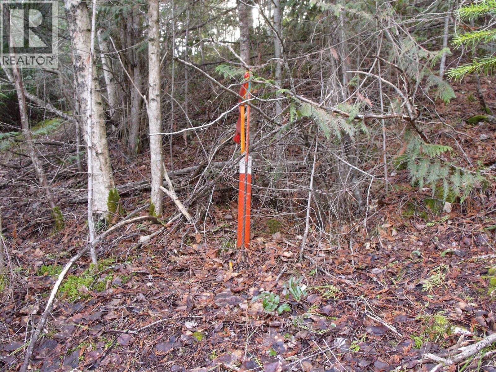 Lot 83 Mountview Drive, Blind Bay, British Columbia  V0E 1H1 - Photo 13 - 10376096