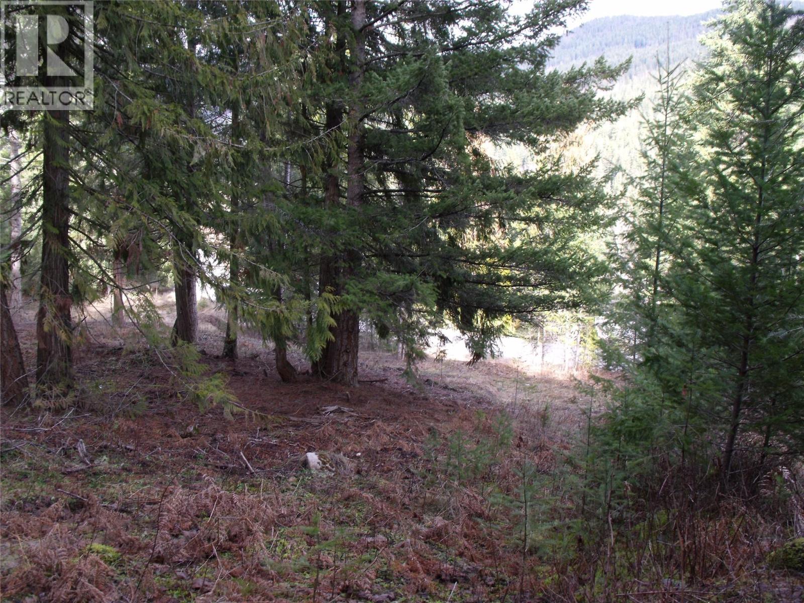 Lot 83 Mountview Drive, Blind Bay, British Columbia  V0E 1H1 - Photo 14 - 10376096