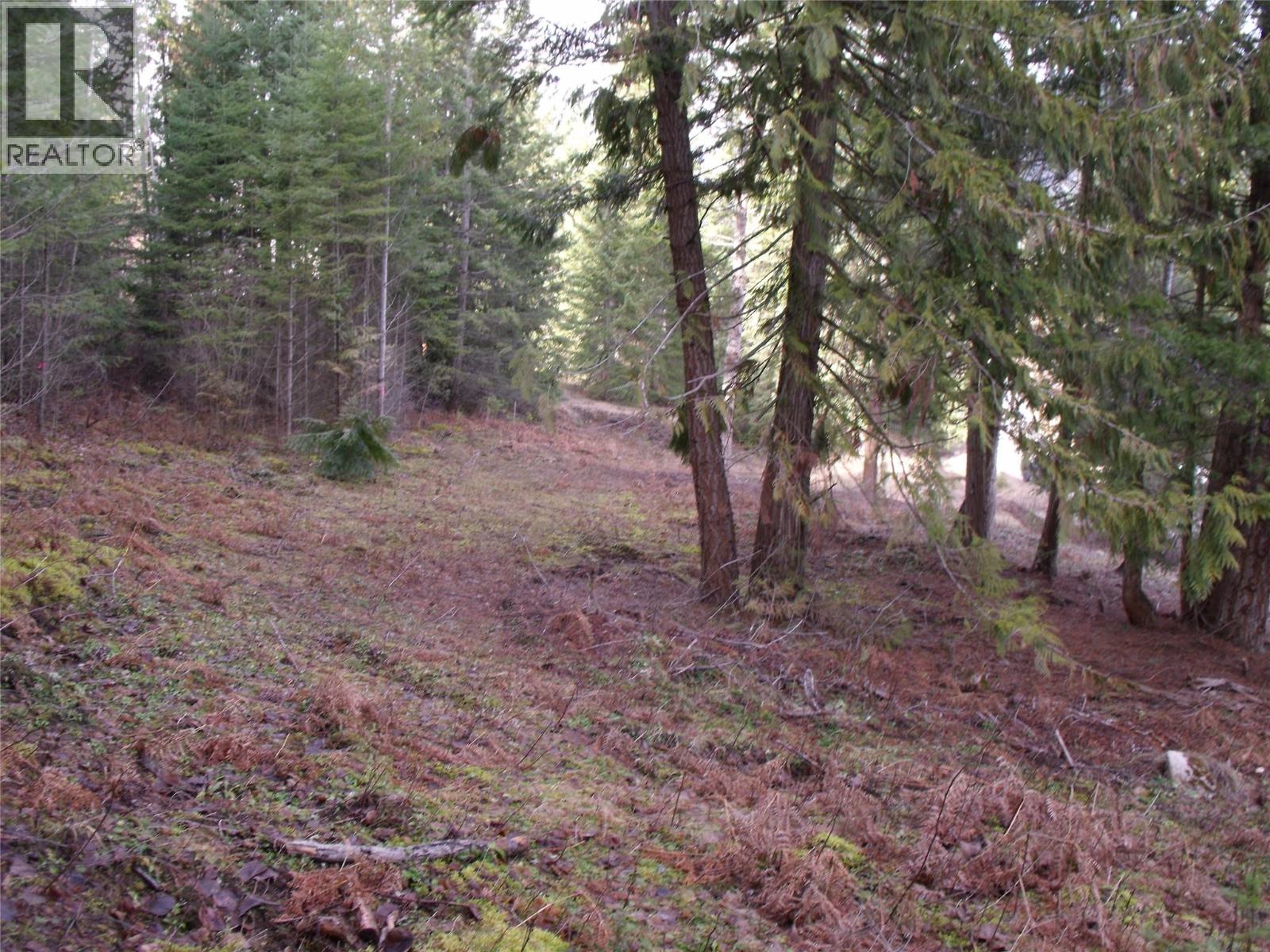 Lot 83 Mountview Drive, Blind Bay, British Columbia  V0E 1H1 - Photo 15 - 10376096