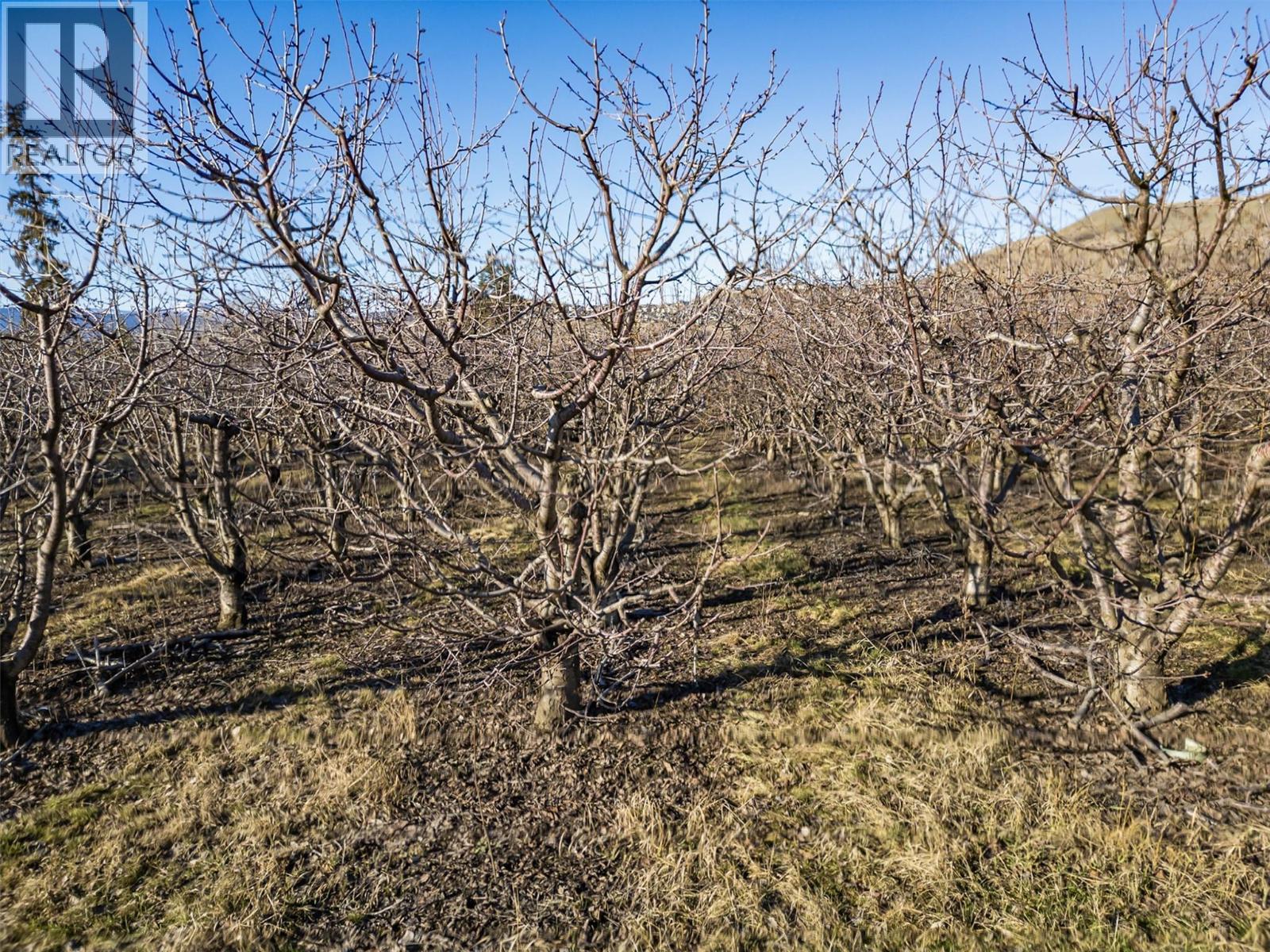 9810 Venables Drive, Coldstream, British Columbia  V1B 2J9 - Photo 9 - 10376335