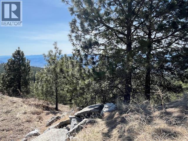440 Sasquatch Trail Unit# Lot 29, Osoyoos, British Columbia  V0H 1V6 - Photo 7 - 10376121