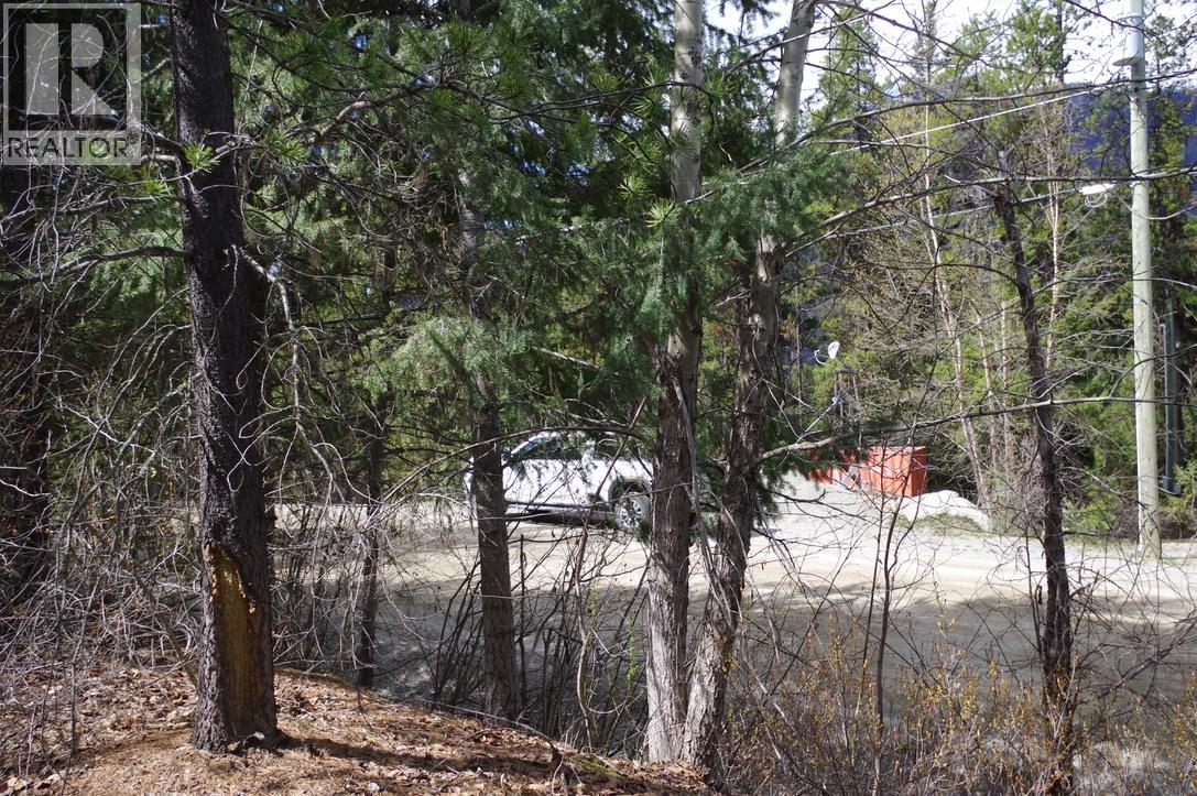 55 Lakeview Lot A Dl 5637 Lakeview Rd Road S, Gold Bridge, British Columbia  V0K 1P0 - Photo 4 - 10376378