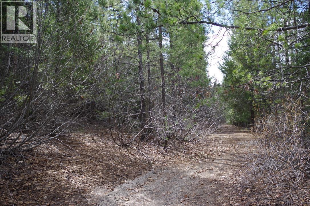 55 Lakeview Lot A Dl 5637 Lakeview Rd Road S, Gold Bridge, British Columbia  V0K 1P0 - Photo 9 - 10376378