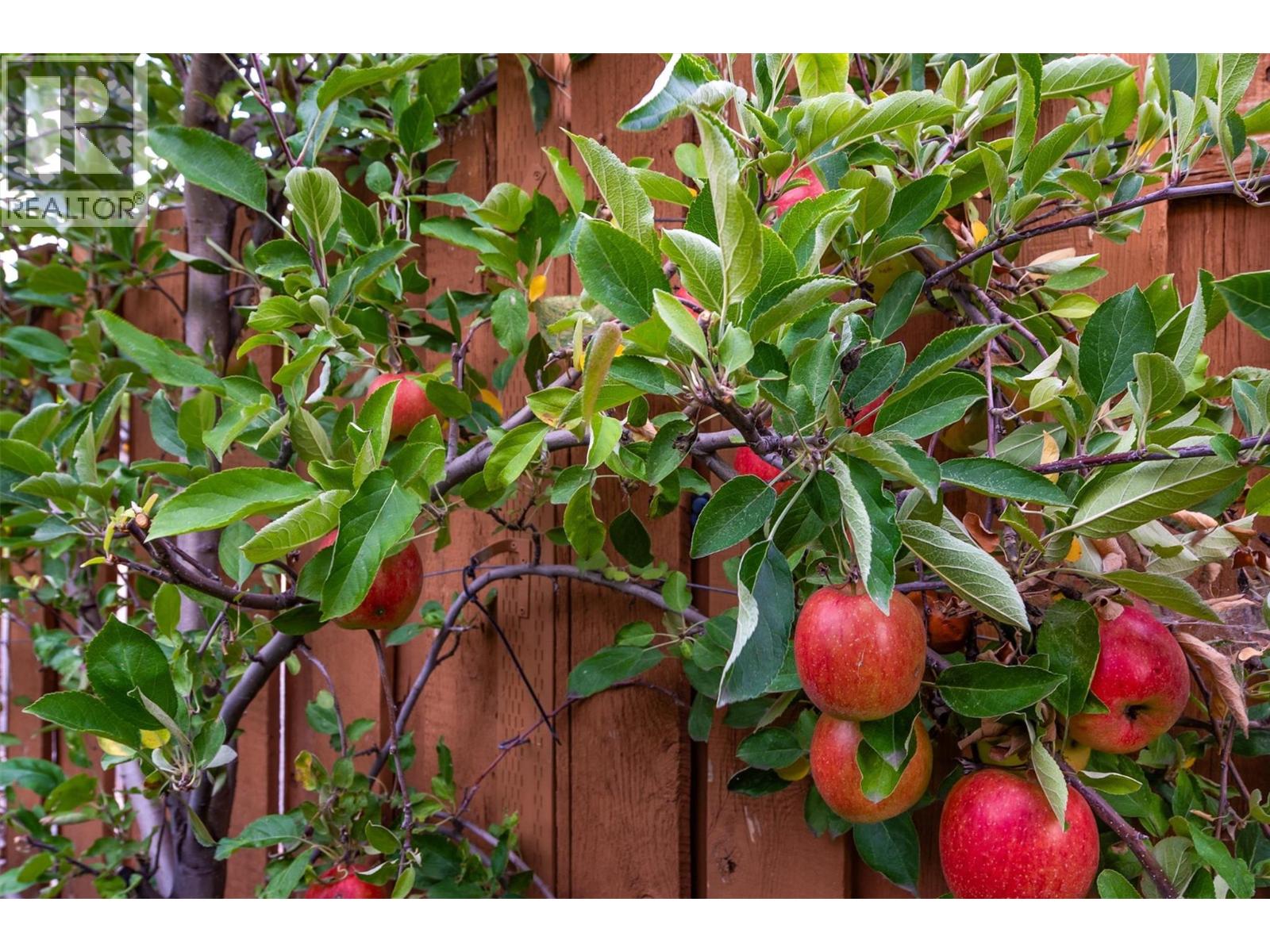 5174 Morrison Crescent, Peachland, British Columbia  V0H 1X2 - Photo 25 - 10374922