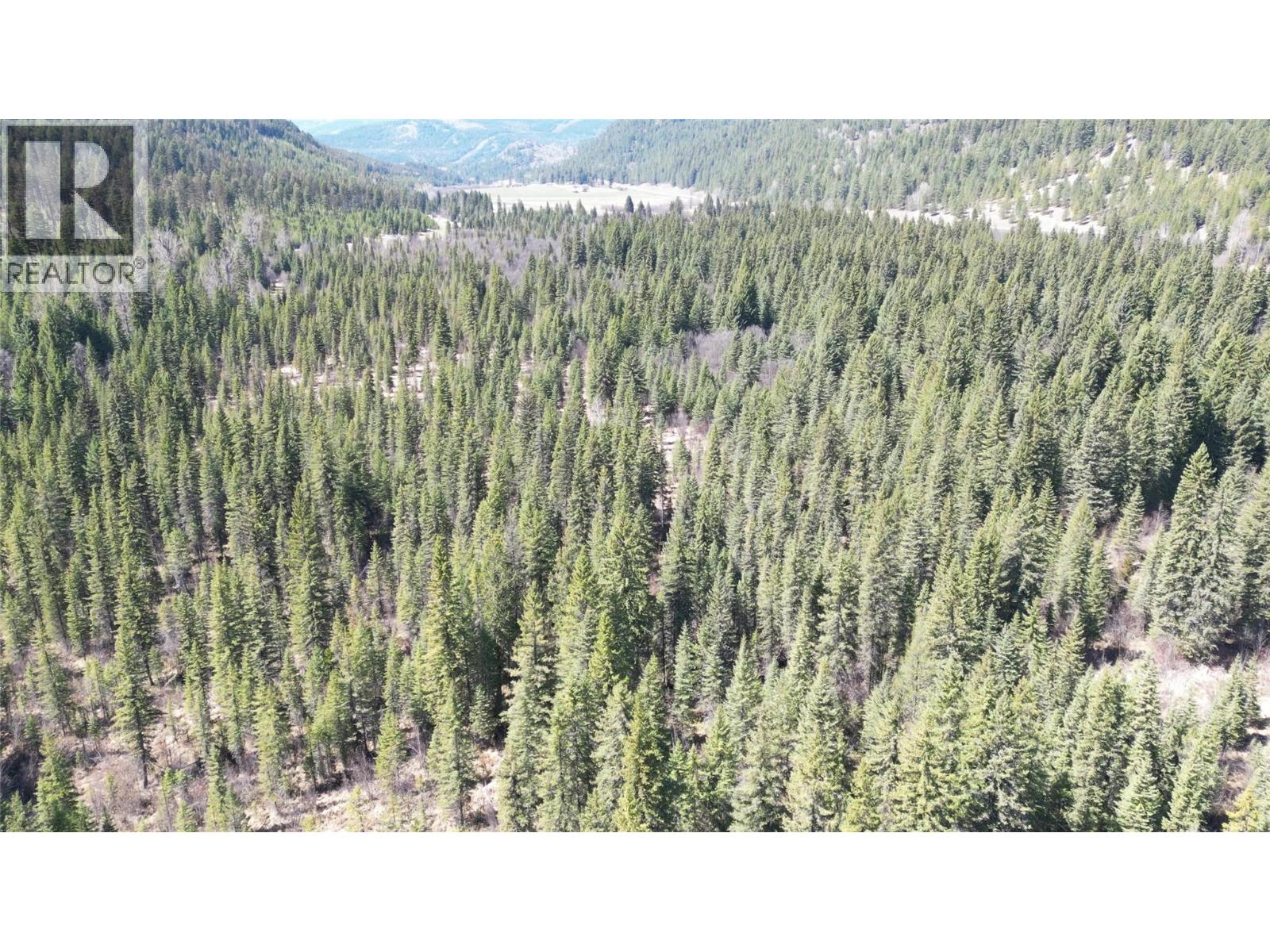 12165 Highway 3, Greenwood, British Columbia  V0H 1J0 - Photo 52 - 10376436