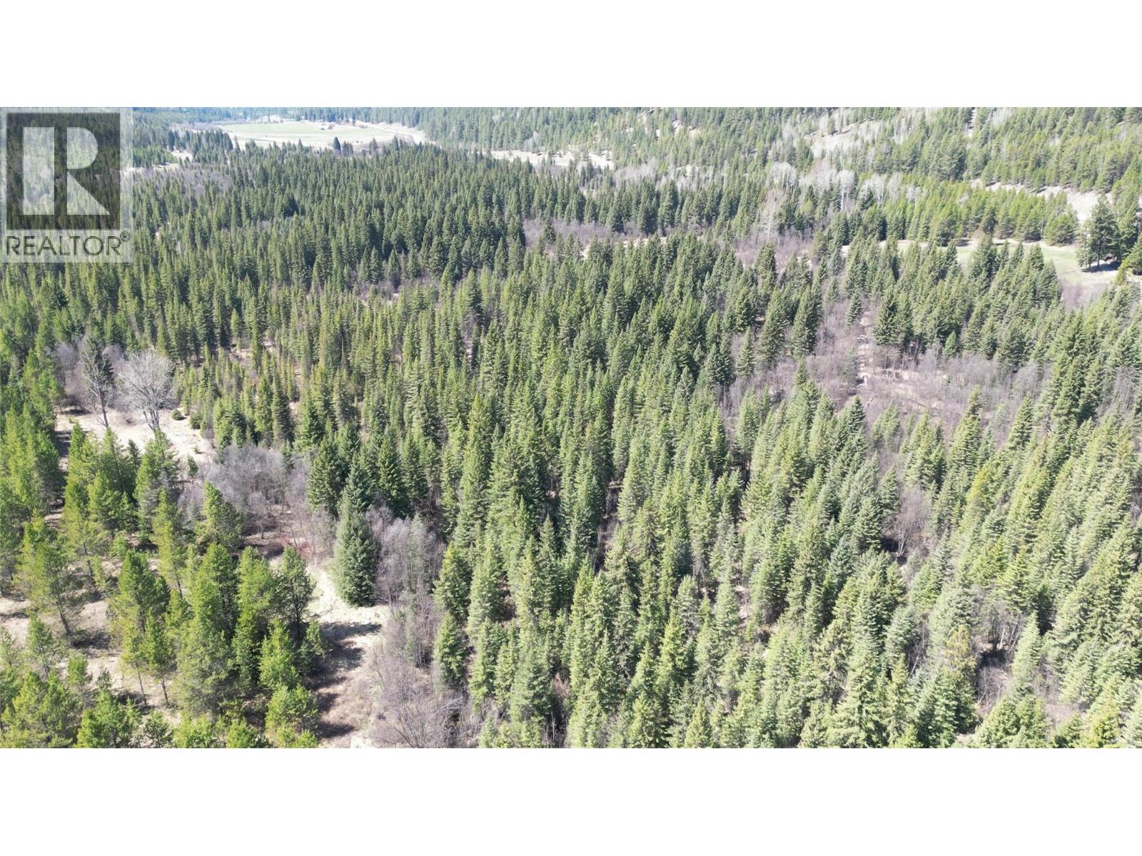 12165 Highway 3, Greenwood, British Columbia  V0H 1J0 - Photo 54 - 10376436