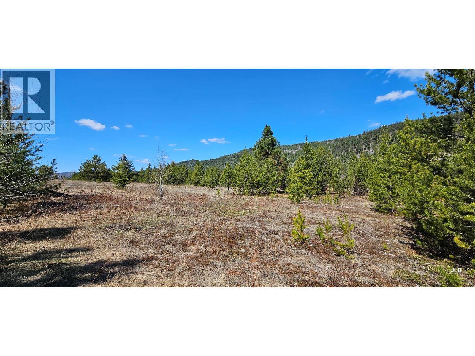 12165 Highway 3, Greenwood, British Columbia  V0H 1J0 - Photo 8 - 10376436