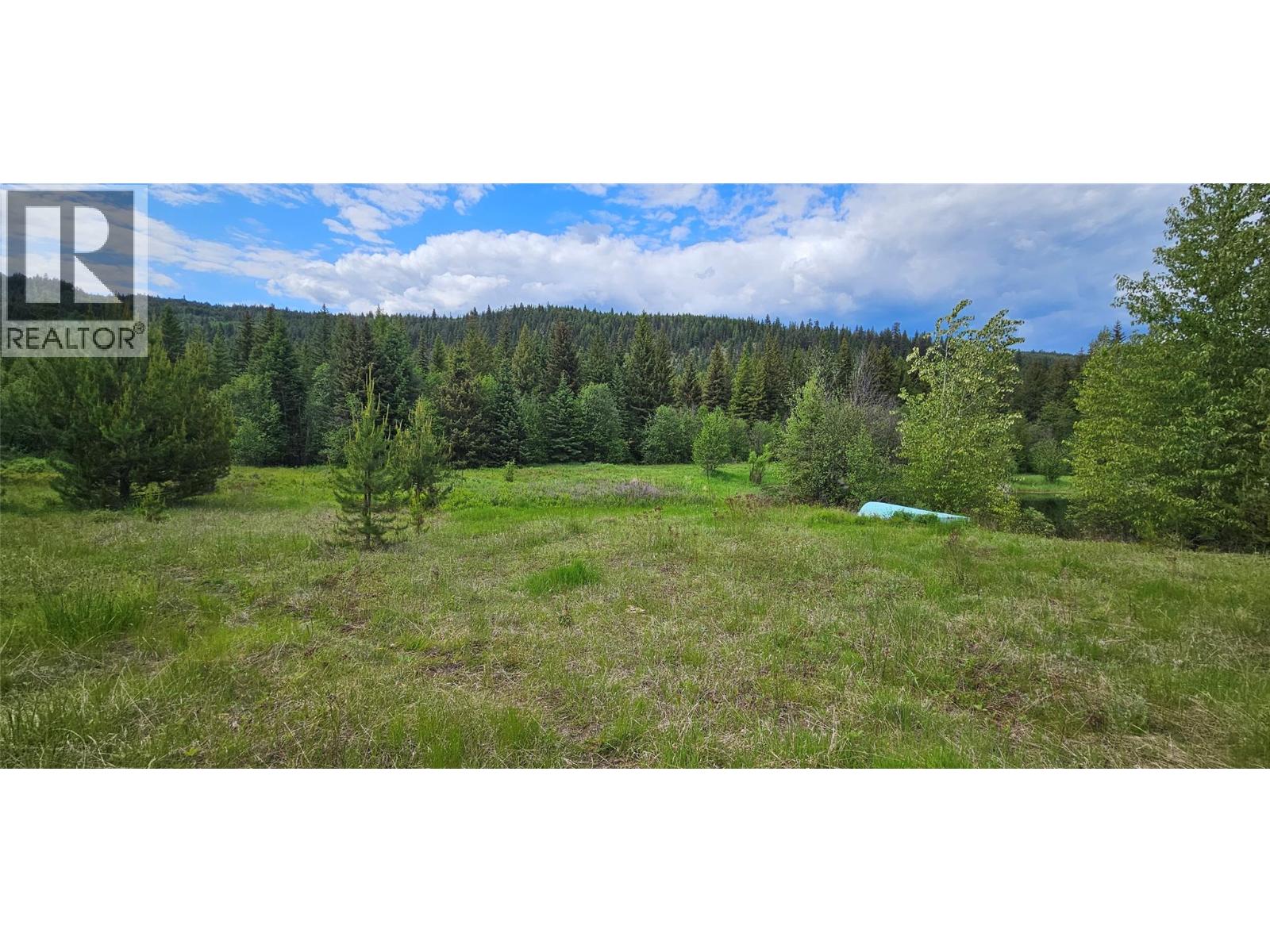 12165 Highway 3, Greenwood, British Columbia  V0H 1J0 - Photo 81 - 10376436