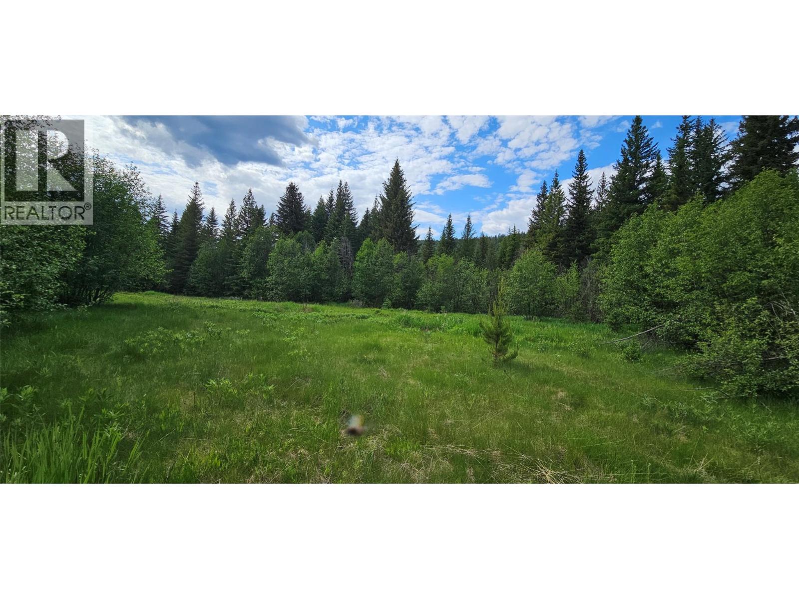 12165 Highway 3, Greenwood, British Columbia  V0H 1J0 - Photo 87 - 10376436