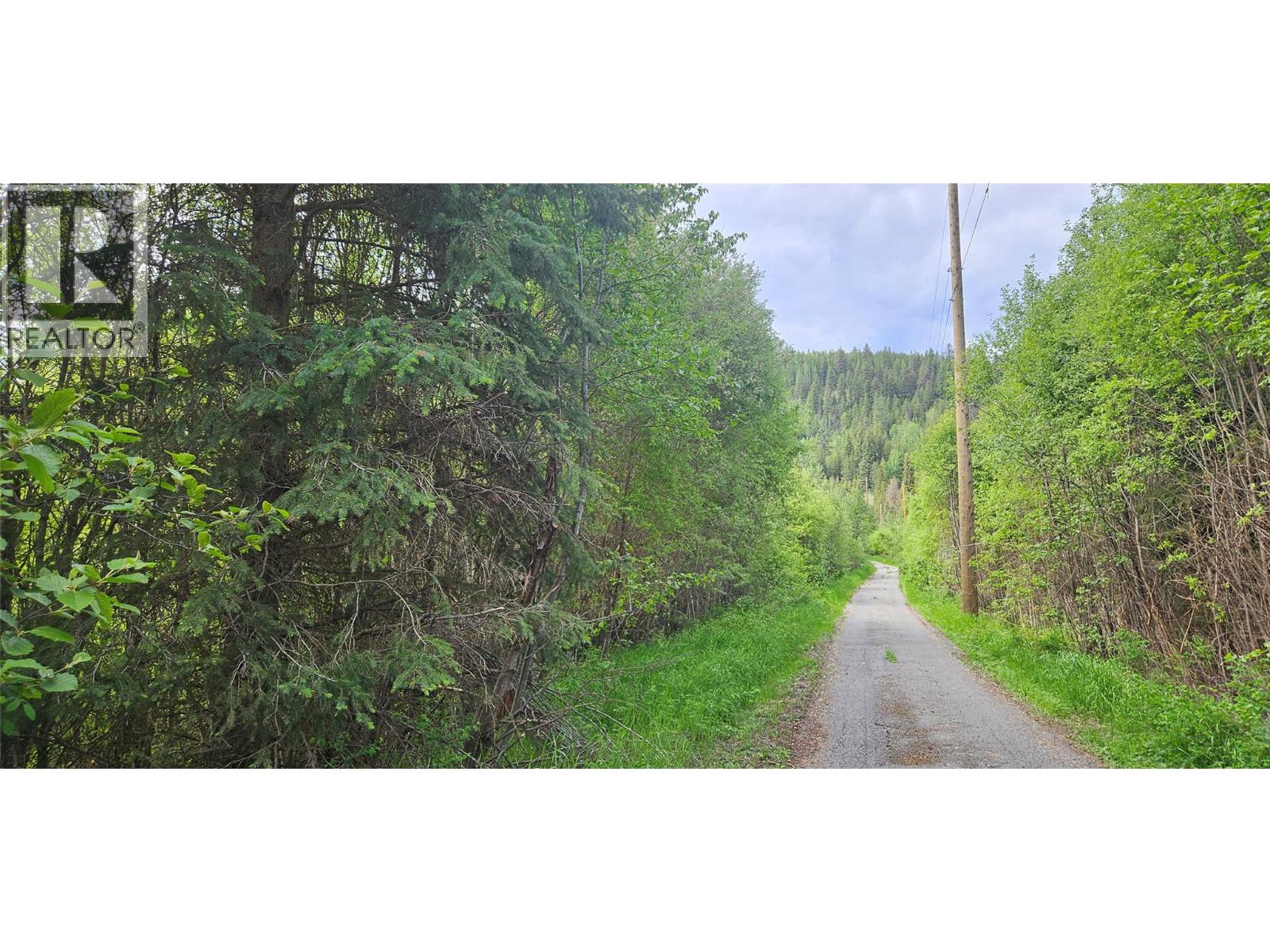 12165 Highway 3, Greenwood, British Columbia  V0H 1J0 - Photo 91 - 10376436