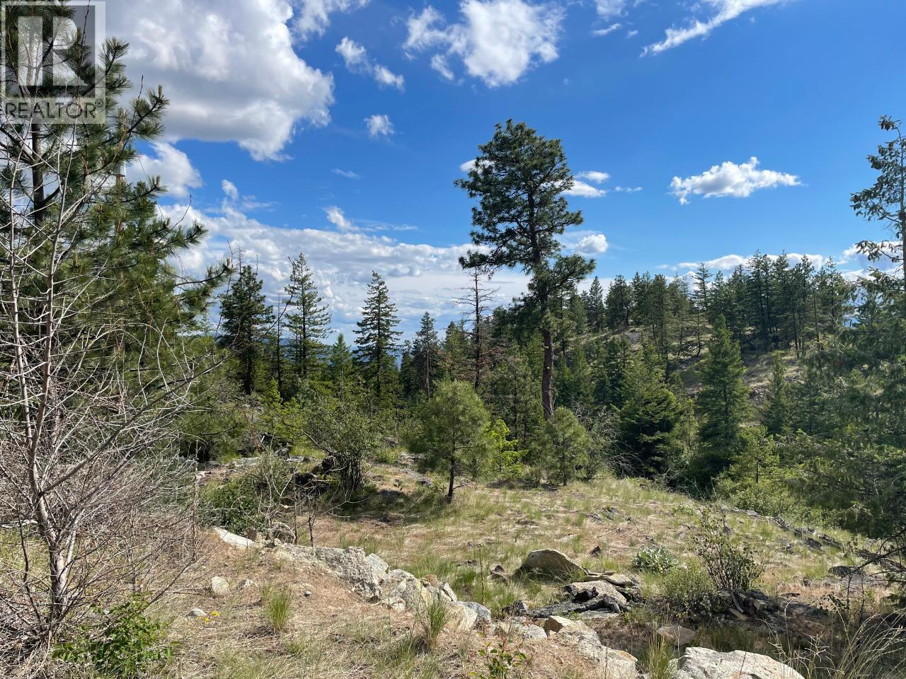 268 Grizzly Road, Osoyoos, British Columbia  V0H 1V6 - Photo 11 - 10376220