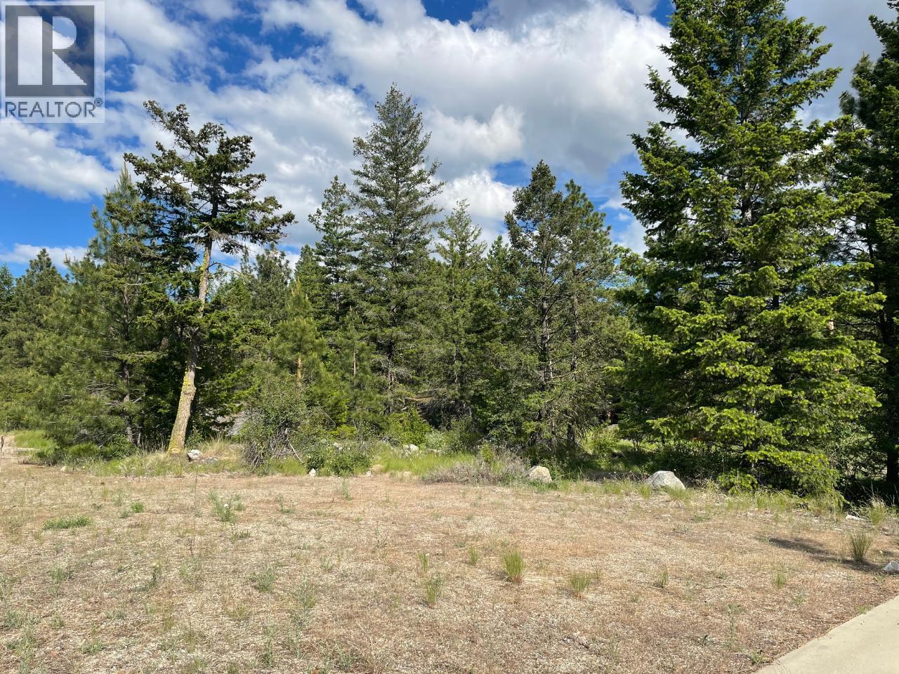 268 Grizzly Road, Osoyoos, British Columbia  V0H 1V6 - Photo 3 - 10376220