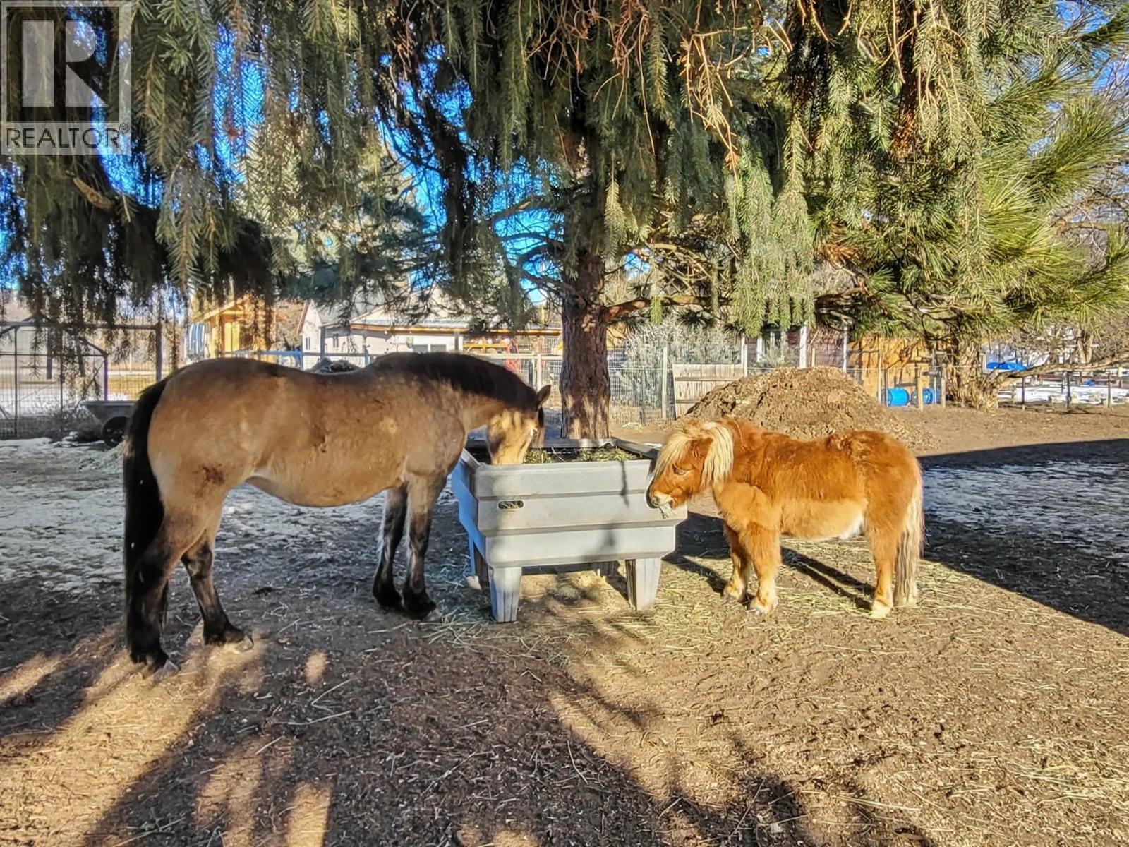 8170 Plotnikoff Road, Grand Forks, British Columbia  V0H 1H2 - Photo 41 - 10376518