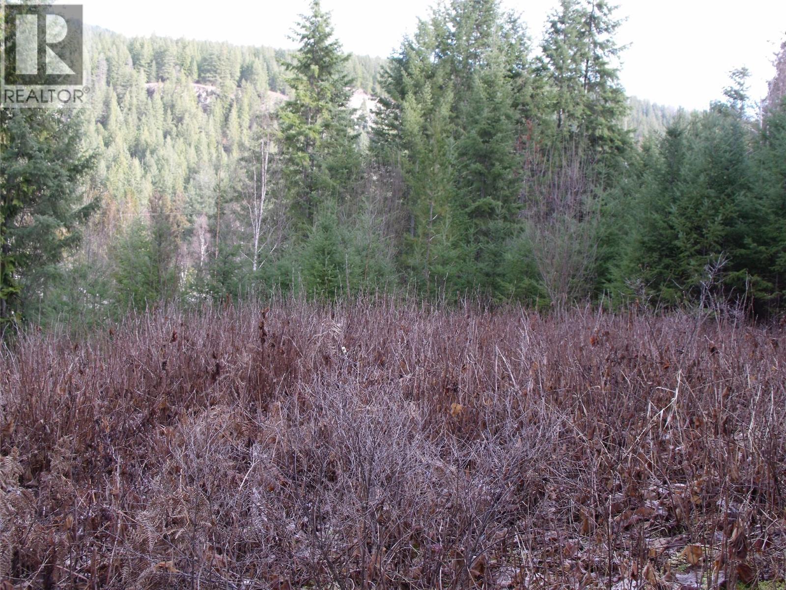 Lot 84 Mountview Drive, Blind Bay, British Columbia  V0E 1H1 - Photo 11 - 10376308