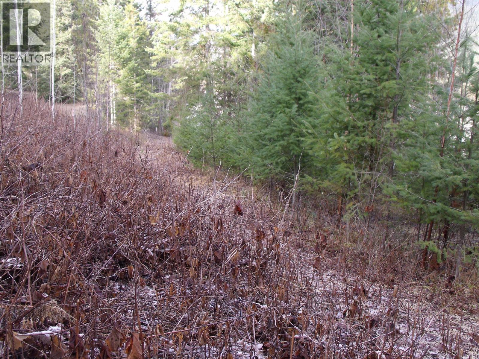 Lot 84 Mountview Drive, Blind Bay, British Columbia  V0E 1H1 - Photo 8 - 10376308