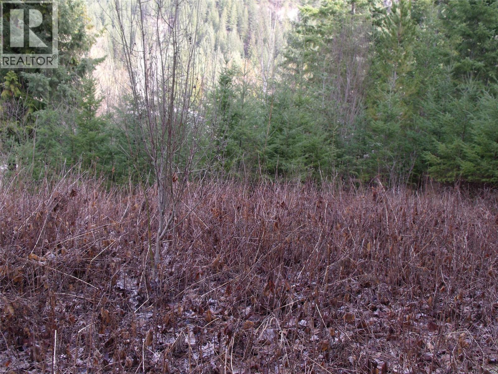 Lot 84 Mountview Drive, Blind Bay, British Columbia  V0E 1H1 - Photo 9 - 10376308