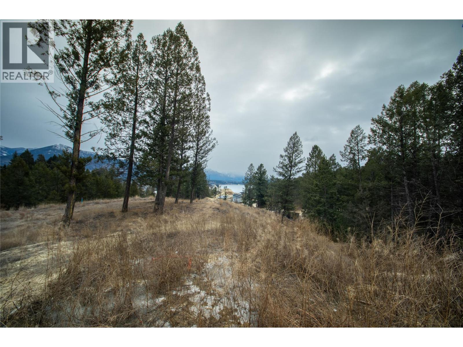 Lot 4 Kpokl Road, Invermere, British Columbia  V0A 1K0 - Photo 14 - 10376322