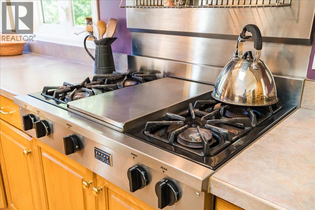 4399 Bird Creek Road, Nelson, British Columbia  V1L 6X2 - Photo 16 - 10376486