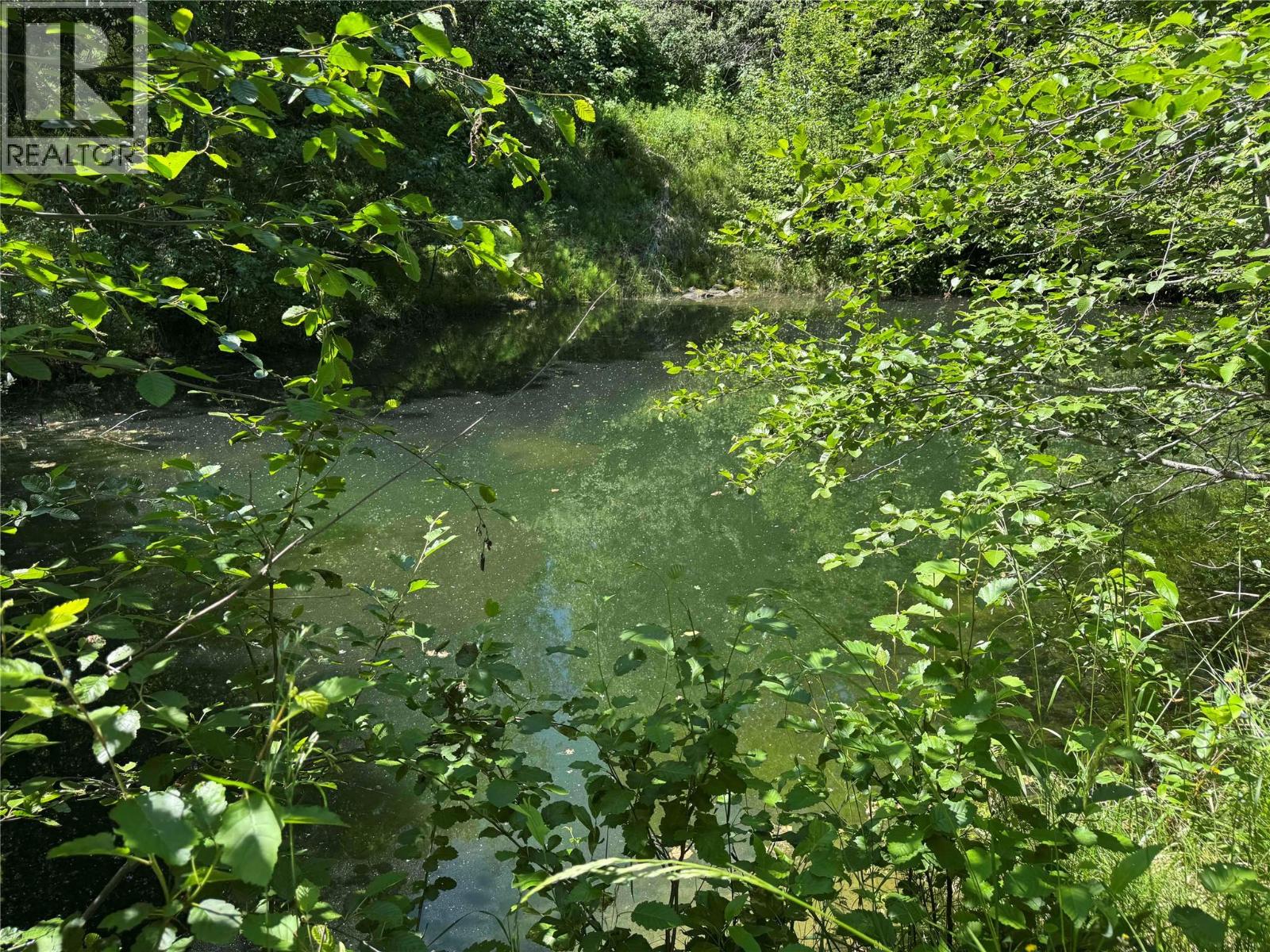 4399 Bird Creek Road, Nelson, British Columbia  V1L 6X2 - Photo 63 - 10376486