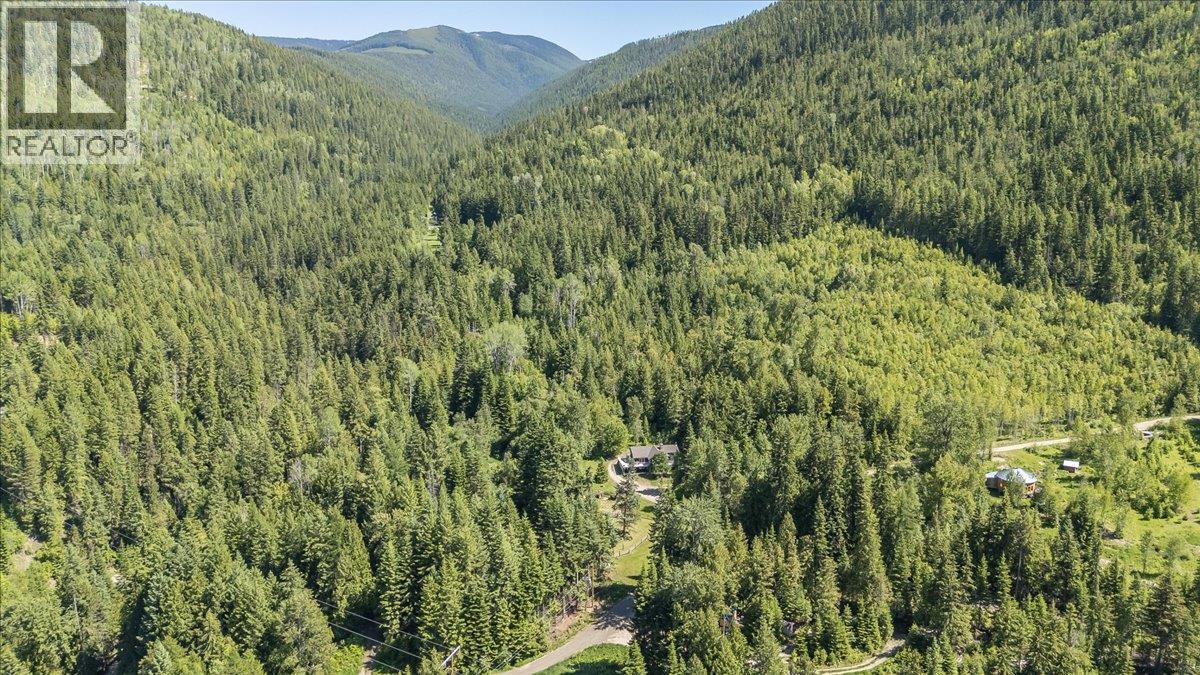 4399 Bird Creek Road, Nelson, British Columbia  V1L 6X2 - Photo 64 - 10376486