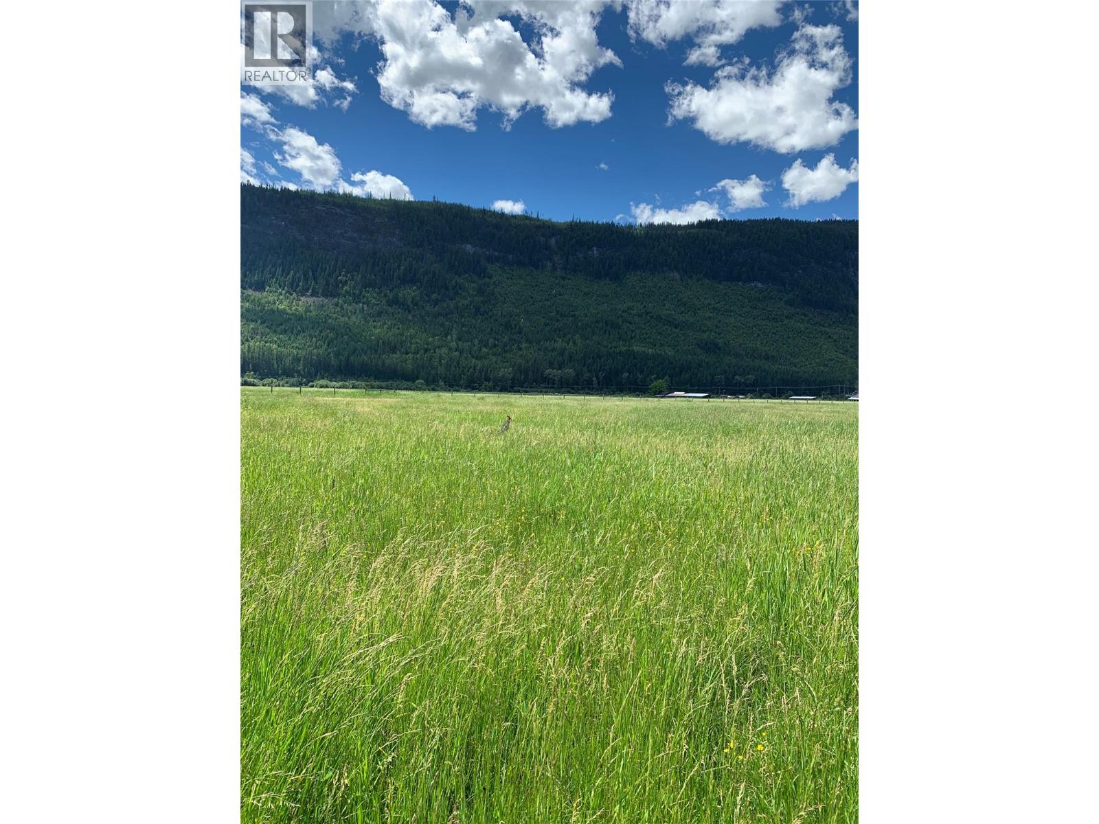 13226 31 Highway, Meadow Creek, British Columbia  V0G 1N0 - Photo 52 - 10376165