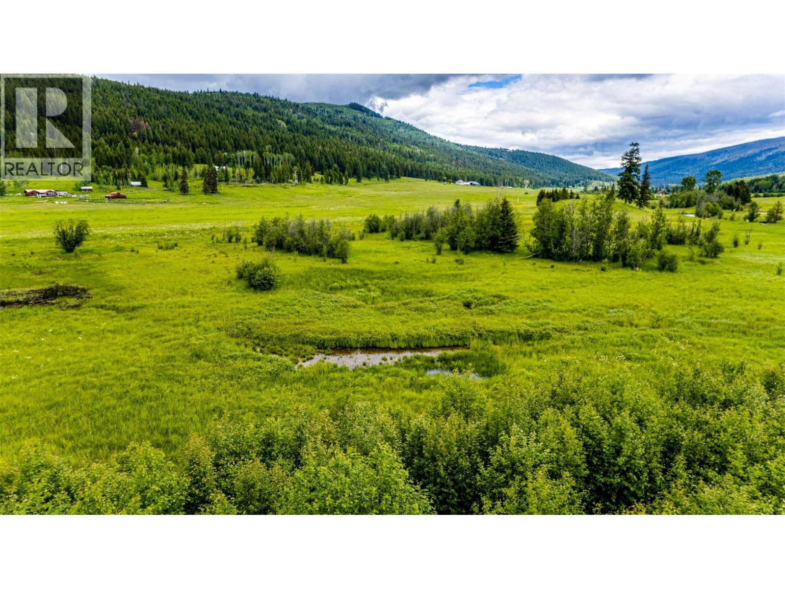 Lot 1 China Valley Road, Falkland, British Columbia  V0E 1W1 - Photo 12 - 10376352