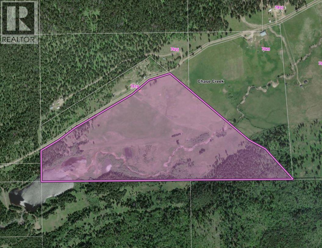 Lot 1 China Valley Road, Falkland, British Columbia  V0E 1W1 - Photo 34 - 10376352