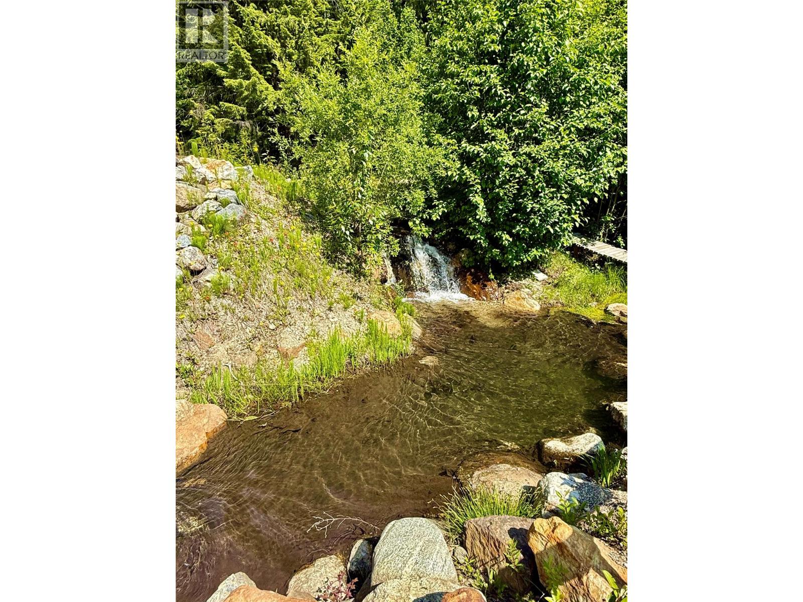 4955 Camp Creek Road Lot# 14, Revelstoke, British Columbia  V0E 2J0 - Photo 5 - 10376607