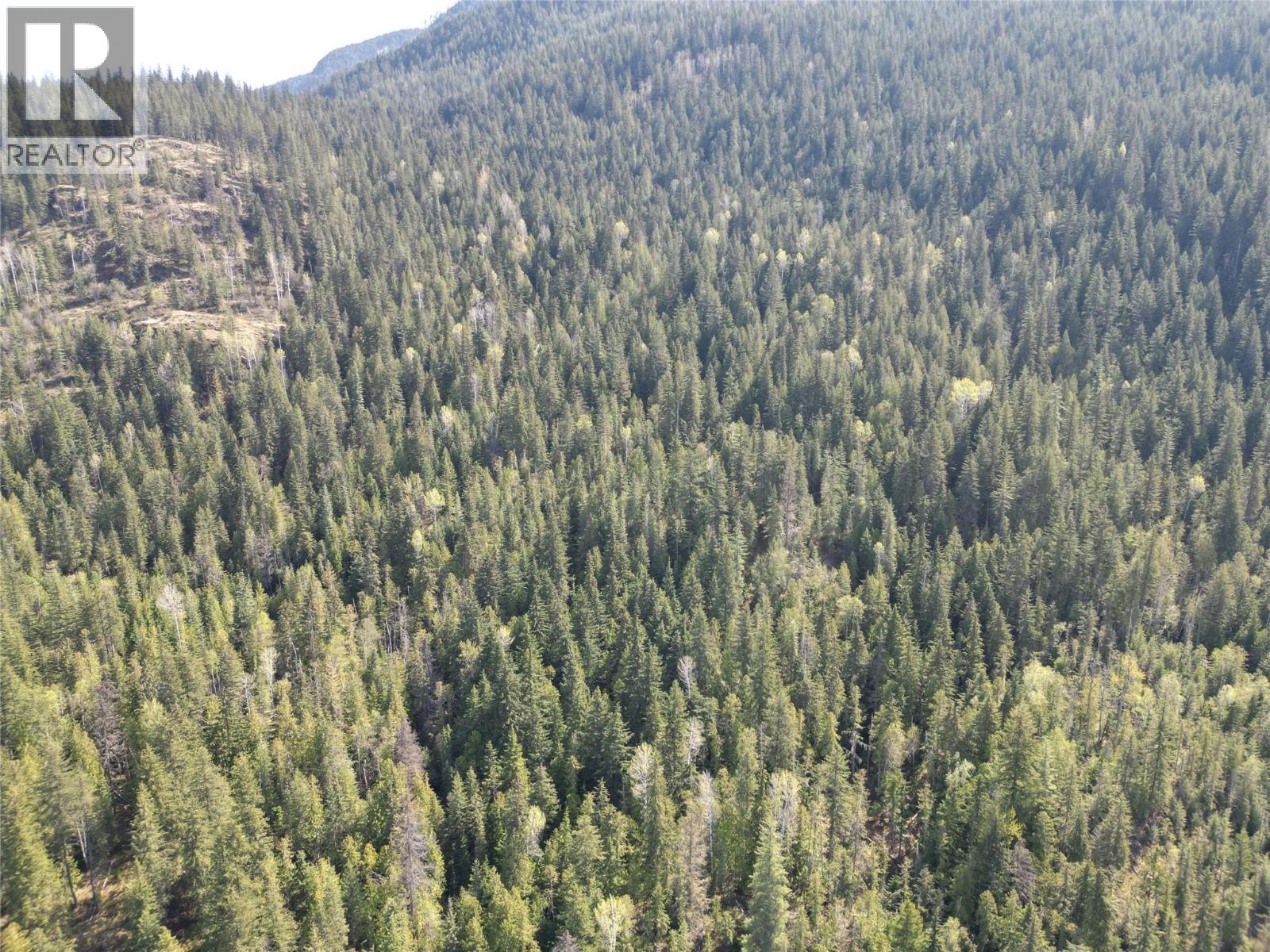 1918 Camozzi Road, Revelstoke, British Columbia  V0E 2S0 - Photo 10 - 10376577