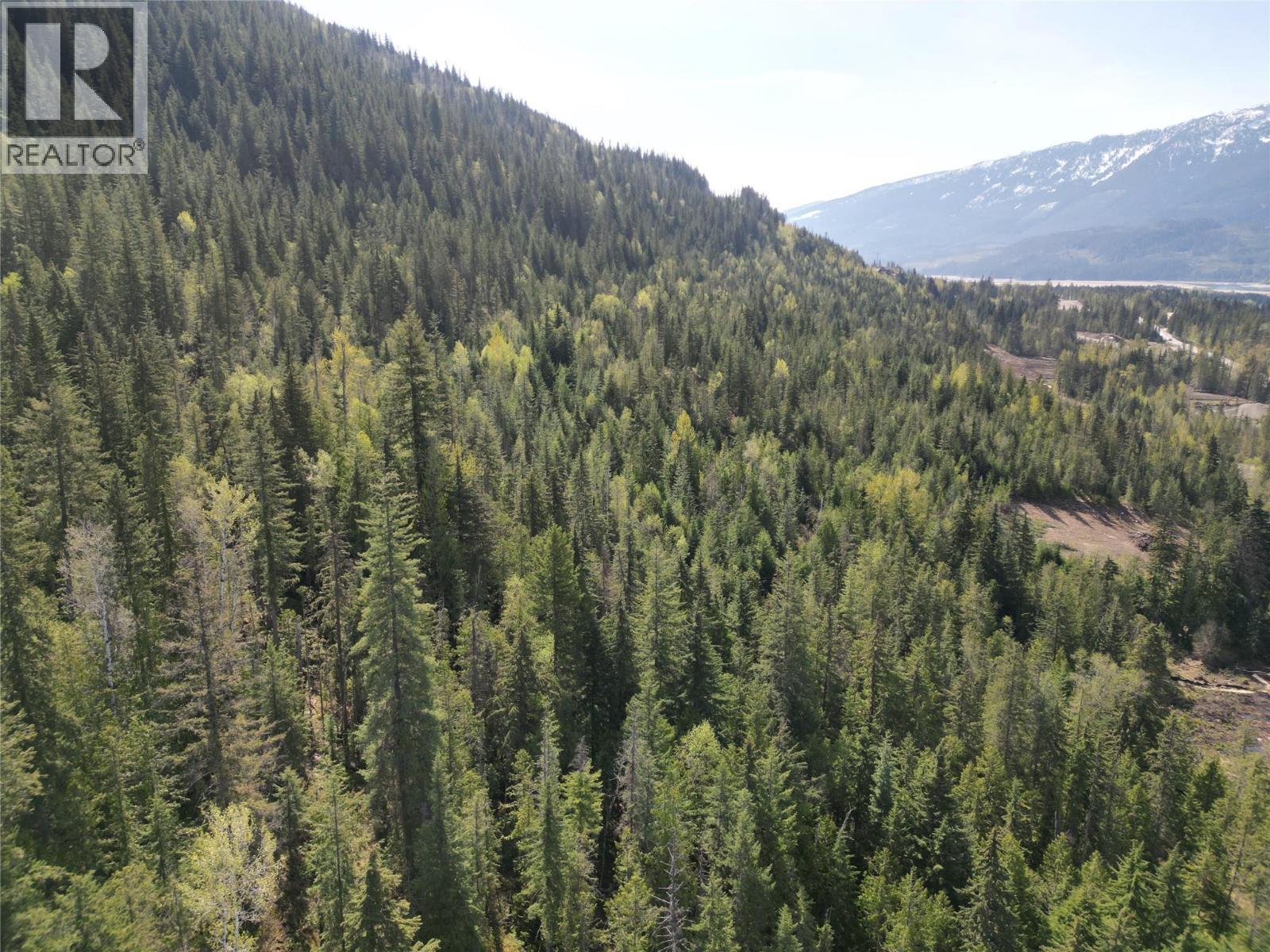 1918 Camozzi Road, Revelstoke, British Columbia  V0E 2S0 - Photo 11 - 10376577