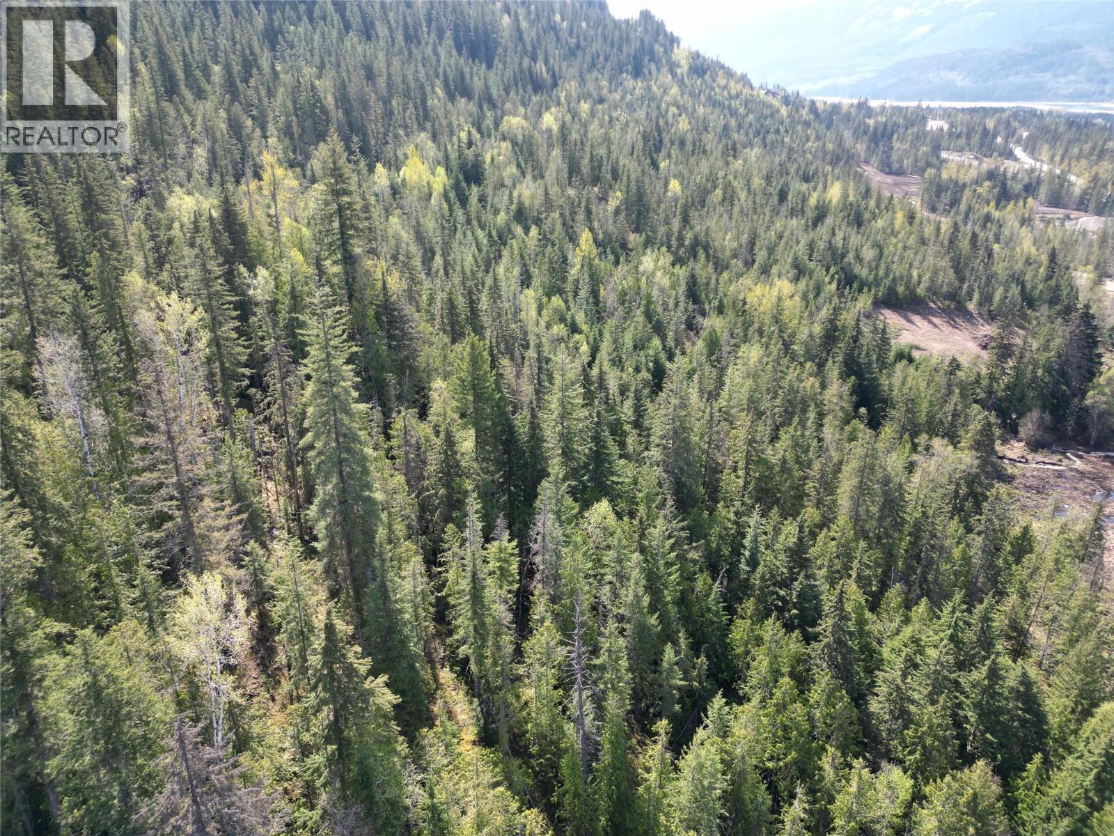 1918 Camozzi Road, Revelstoke, British Columbia  V0E 2S0 - Photo 12 - 10376577