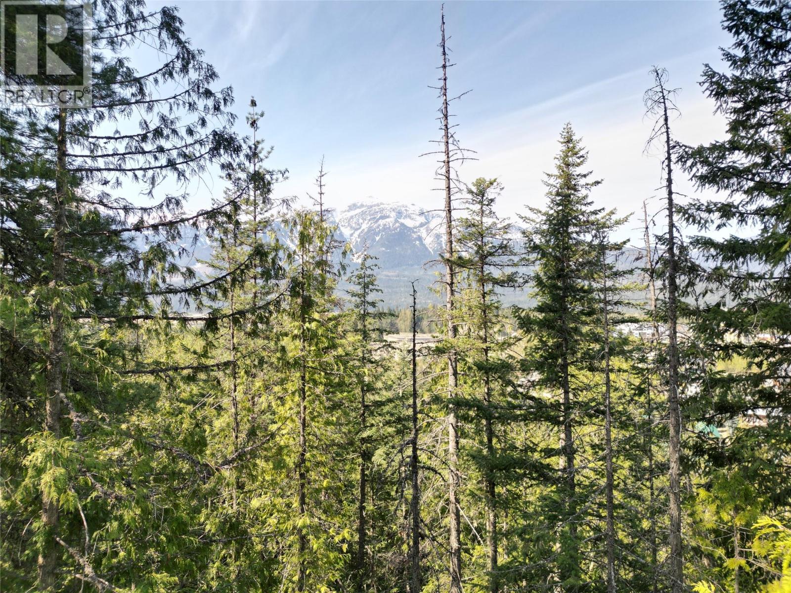 1918 Camozzi Road, Revelstoke, British Columbia  V0E 2S0 - Photo 13 - 10376577